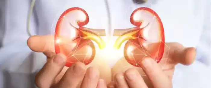 10 recommended tests for those with suspected diabetic ki...